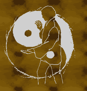 TaiChi.gif